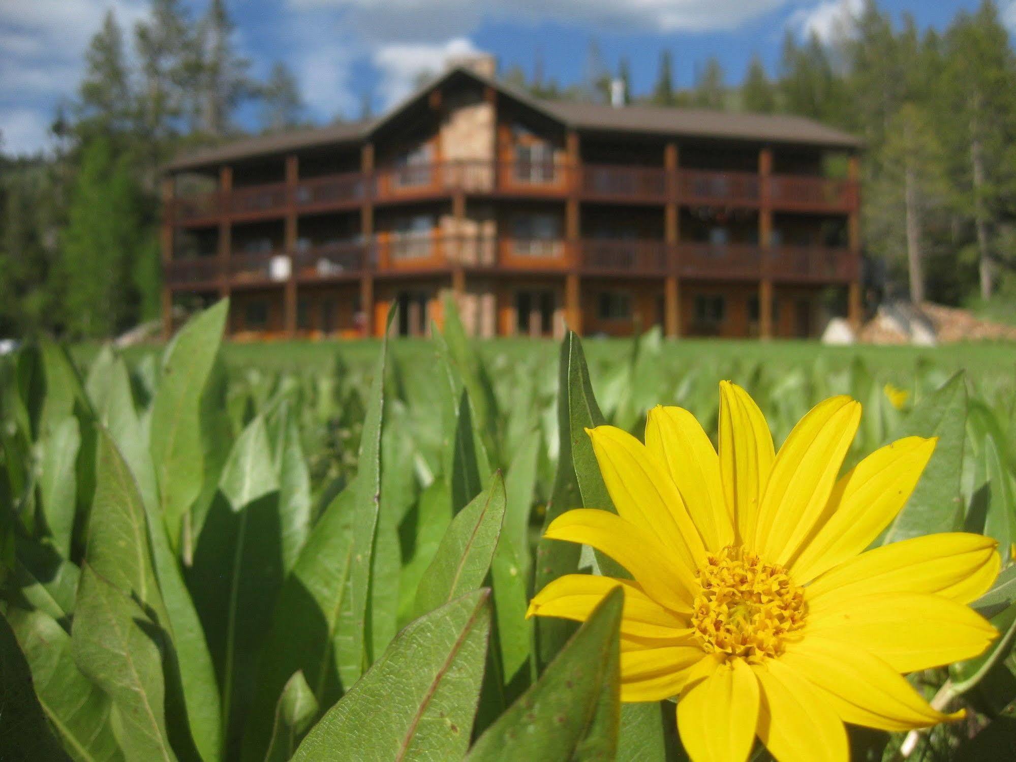 Beaver Creek Lodge Logan Exterior photo
